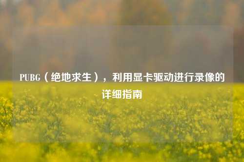 PUBG(绝地求生),利用显卡驱动进行录像的详细指南