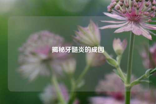 揭秘牙髓炎的成因