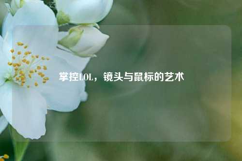 掌控LOL，镜头与鼠标的艺术