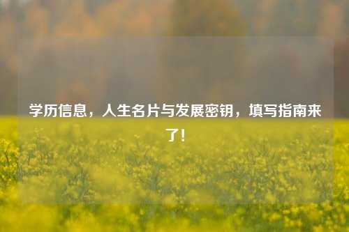 学历信息，人生名片与发展密钥，填写指南来了！