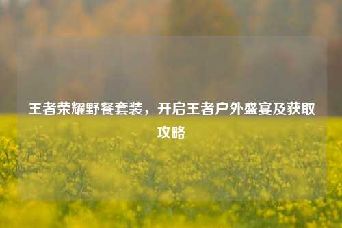 王者荣耀野餐套装，开启王者户外盛宴及获取攻略