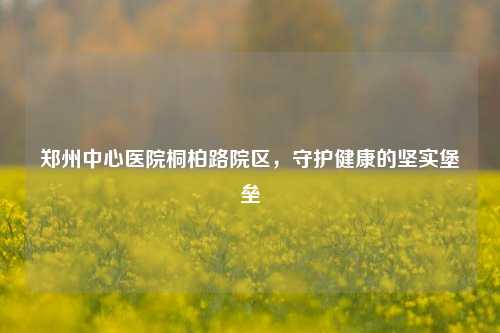郑州中心医院桐柏路院区，守护健康的坚实堡垒