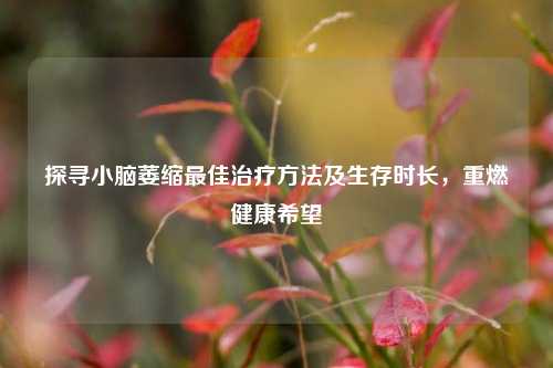 探寻小脑萎缩更佳治疗 *** 及生存时长，重燃健康希望