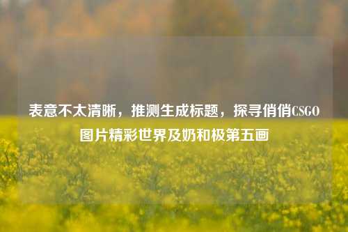 表意不太清晰,推测生成标题,探寻俏俏CSGO图片精彩世界及奶和极第五画