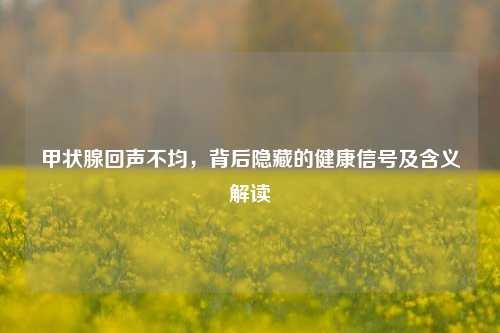 甲状腺回声不均，背后隐藏的健康信号及含义解读