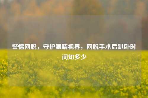 警惕网脱,守护眼睛视界,网脱手术后趴卧时间知多少