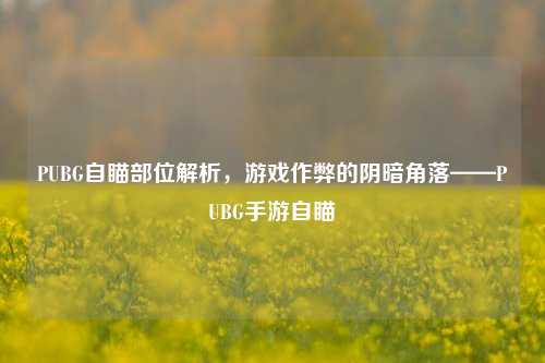 PUBG自瞄部位解析,游戏作弊的阴暗角落——PUBG手游自瞄