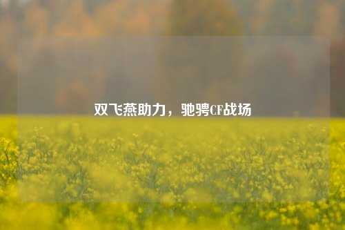双飞燕助力，驰骋CF战场