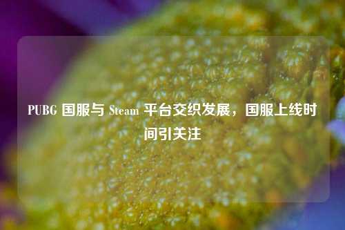 PUBG 国服与 Steam 平台交织发展，国服上线时间引关注