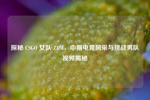 探秘 CSGO 女队 ZDM,巾帼电竞风采与挑战男队视频揭秘