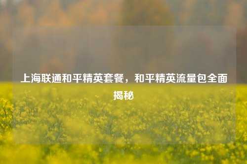 上海联通和平精英套餐,和平精英流量包全面揭秘