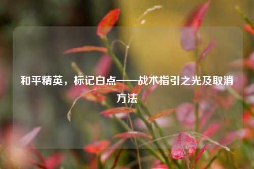 和平精英,标记白点——战术指引之光及取消 ***