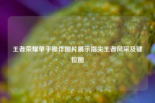 王者荣耀单手操作图片展示指尖王者风采及键位图