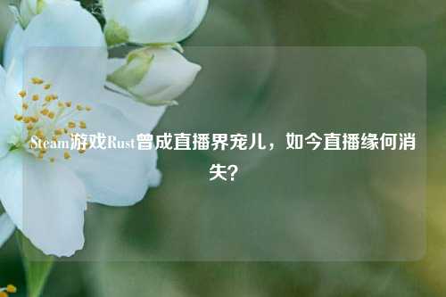Steam游戏Rust曾成直播界宠儿,如今直播缘何消失?