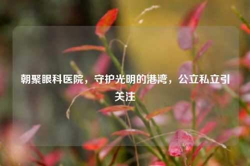 朝聚眼科医院,守护光明的港湾,公立私立引关注
