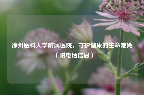 徐州医科大学附属医院，守护健康的生命港湾（附 *** 信息）