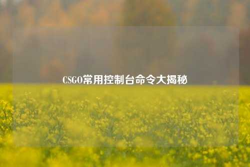 CSGO常用控制台命令大揭秘