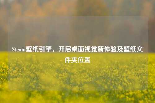 Steam壁纸引擎,开启桌面视觉新体验及壁纸文件夹位置