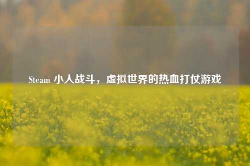 Steam 小人战斗,虚拟世界的热血打仗游戏