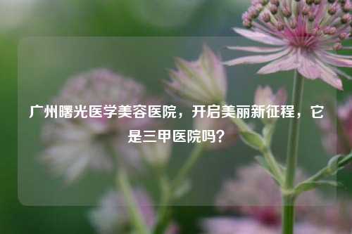 广州曙光医学美容医院，开启美丽新征程，它是三甲医院吗？