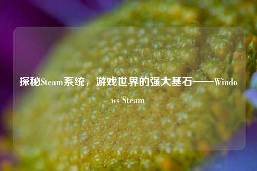 探秘Steam系统,游戏世界的强大基石——Windows Steam