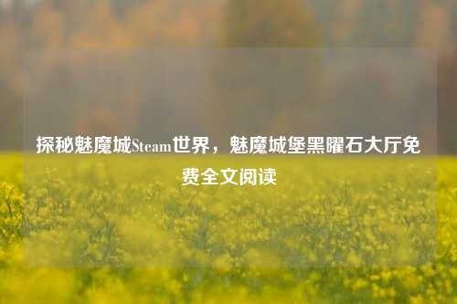 探秘魅魔城Steam世界,魅魔城堡黑曜石大厅免费全文阅读
