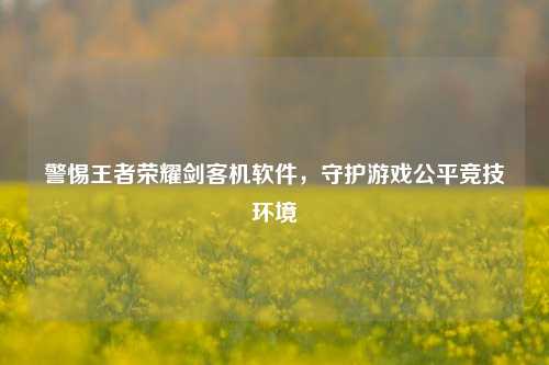 警惕王者荣耀剑客机软件，守护游戏公平竞技环境