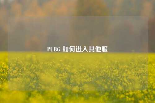 PUBG 如何进入其他服