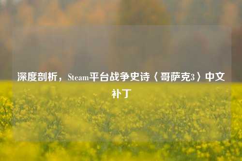 深度剖析,Steam平台战争史诗〈哥萨克3〉中文补丁