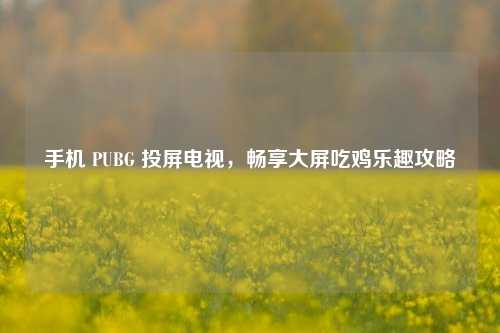 手机 PUBG 投屏电视，畅享大屏吃鸡乐趣攻略