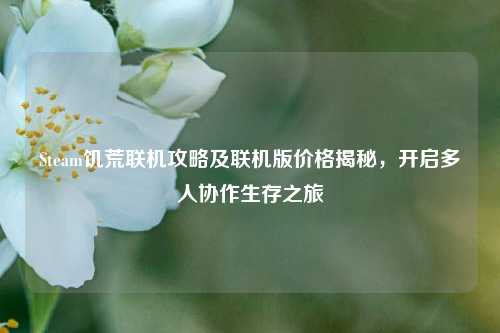 Steam饥荒联机攻略及联机版价格揭秘,开启多人协作生存之旅