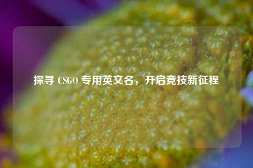 探寻 CSGO 专用英文名,开启竞技新征程