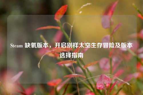 Steam 缺氧版本，开启别样太空生存冒险及版本选择指南