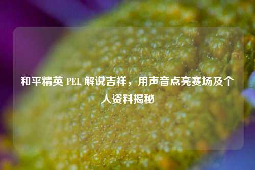 和平精英 PEL 解说吉祥，用声音点亮赛场及个人资料揭秘