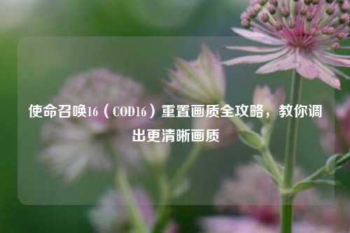 使命召唤16（COD16）重置画质全攻略，教你调出更清晰画质
