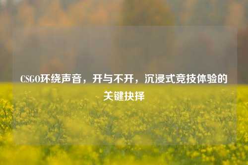 CSGO环绕声音，开与不开，沉浸式竞技体验的关键抉择