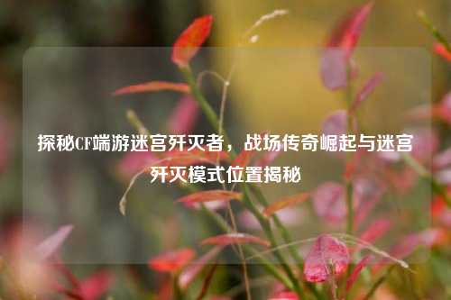 探秘CF端游迷宫歼灭者，战场传奇崛起与迷宫歼灭模式位置揭秘