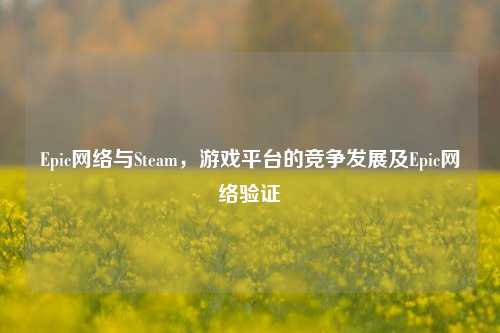 Epic *** 与Steam，游戏平台的竞争发展及Epic *** 验证