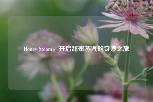 Honey Steam，开启甜蜜蒸汽的奇妙之旅
