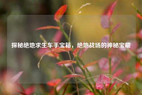 探秘绝地求生车手宝箱，绝地战场的神秘宝藏