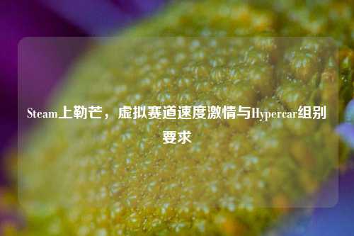 Steam上勒芒，虚拟赛道速度***与Hypercar组别要求