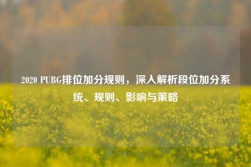 2020 PUBG排位加分规则，深入解析段位加分系统、规则、影响与策略