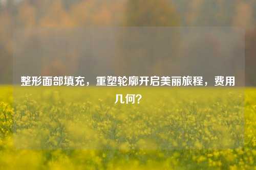 整形面部填充，重塑轮廓开启美丽旅程，费用几何？