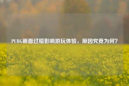 PUBG画面过暗影响游玩体验，原因究竟为何？