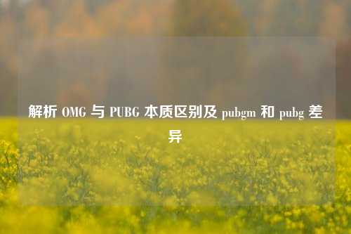 解析 OMG 与 PUBG 本质区别及 pubgm 和 pubg 差异