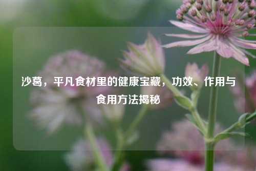 沙葛，平凡食材里的健康宝藏，功效、作用与食用 *** 揭秘