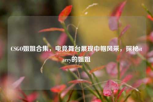 CSGO姐姐合集，电竞舞台展现巾帼风采，探秘starry的姐姐