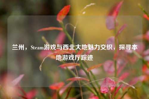 兰州，Steam游戏与西北大地魅力交织，探寻本地游戏厅踪迹