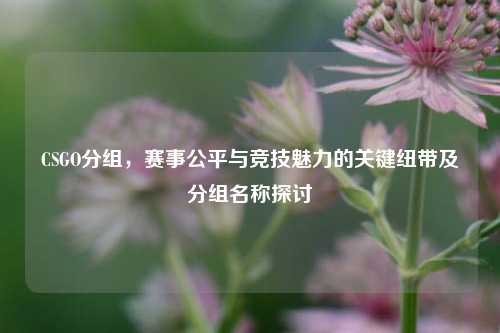 CSGO分组，赛事公平与竞技魅力的关键纽带及分组名称探讨