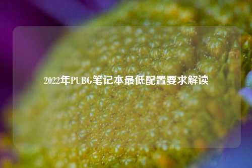 2022年PUBG笔记本更低配置要求解读